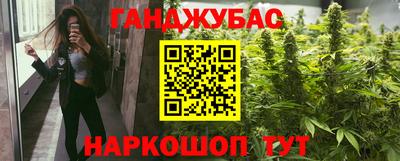бошки Гагарин
