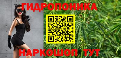 бошки Гагарин