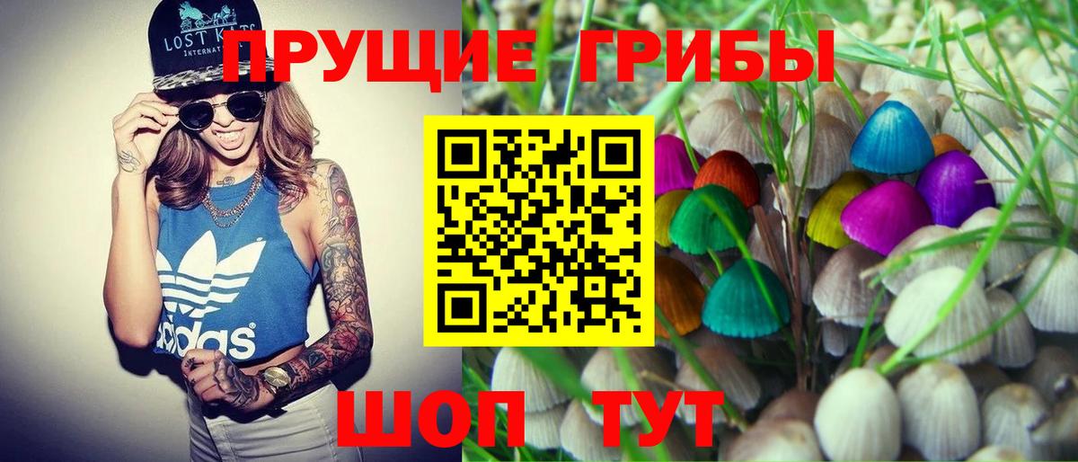 Галлюциногенные грибы Psilocybine cubensis Кизилюрт