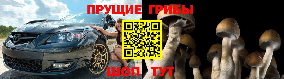 Галлюциногенные грибы GOLDEN TEACHER  закладки  Кизилюрт  Вход с VPN 
